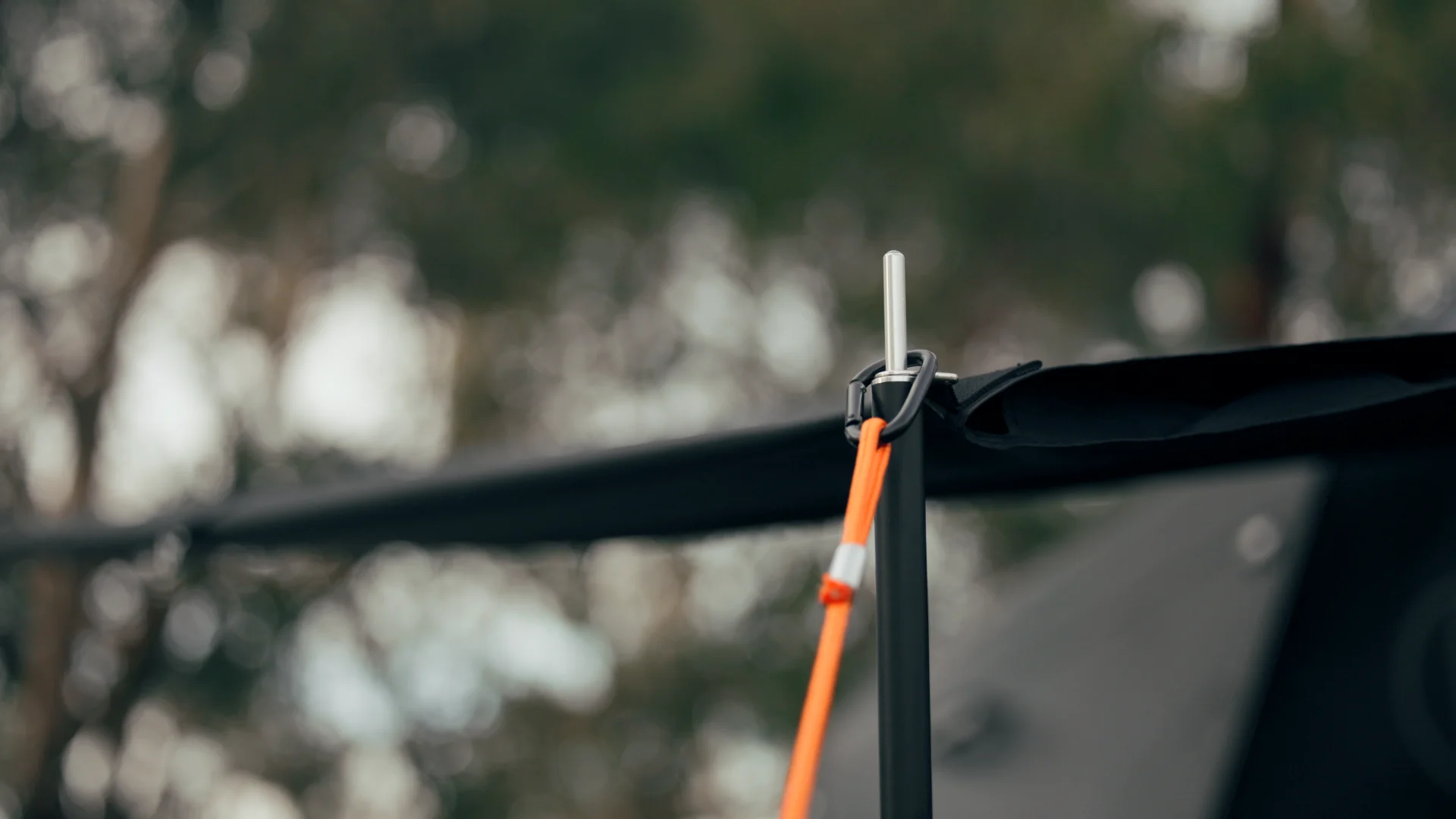 AXIS POLE - Image 9